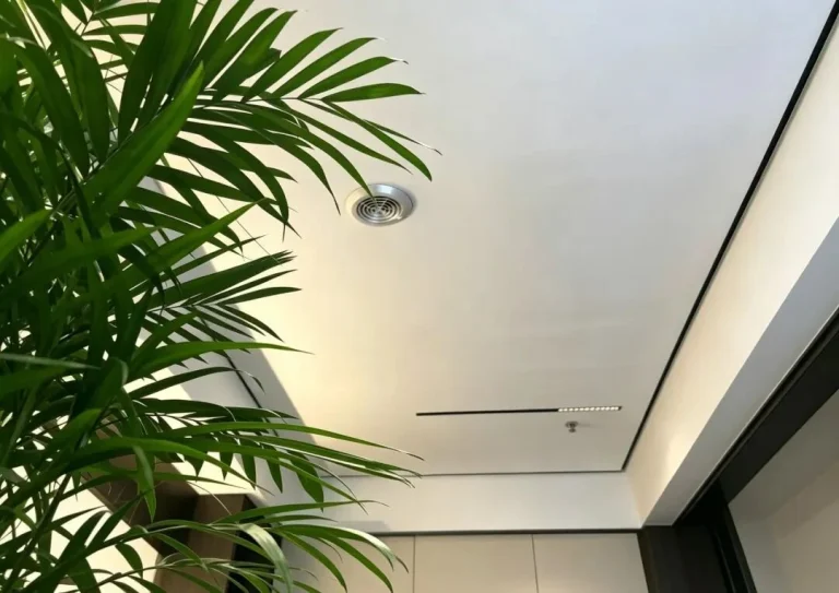 室内闷浊散不去？ 一套方案还原森林感呼吸